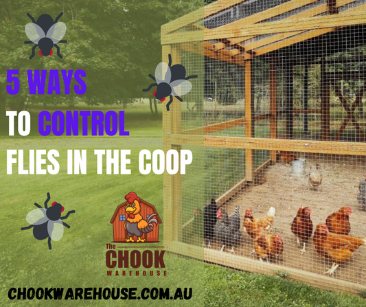 Top 5 ways to reduce flies around the coop