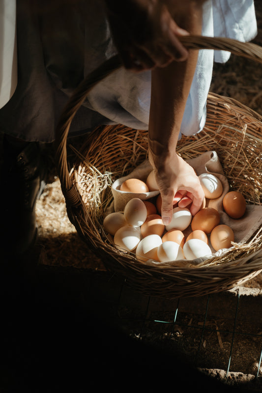 A checklist for the perfect chicken coop.