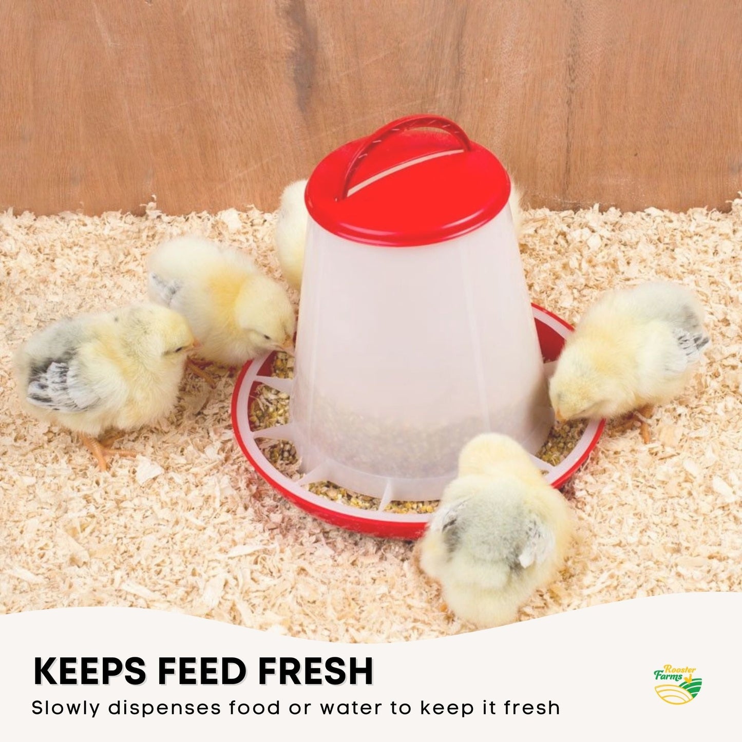 Chicken Feeders