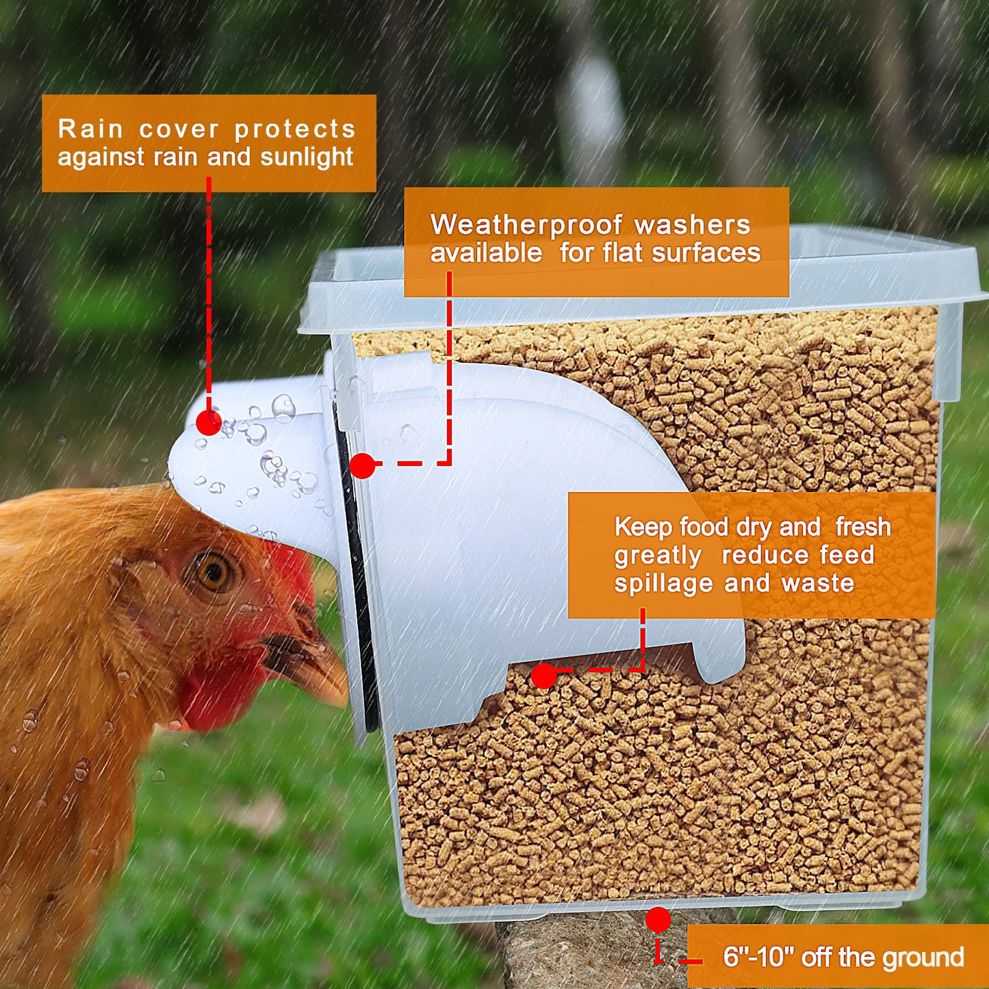 DIY Chicken Feeder