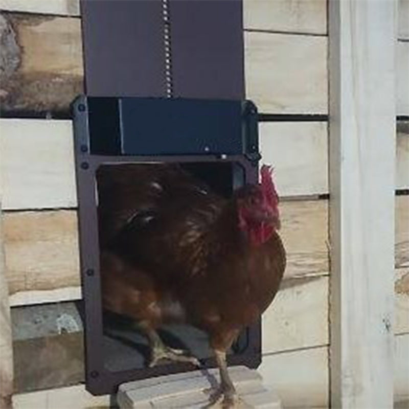 Light Sensing Automatic Chicken Coop Door