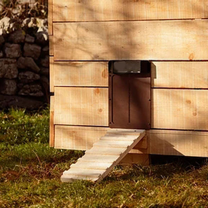 Light Sensing Automatic Chicken Coop Door