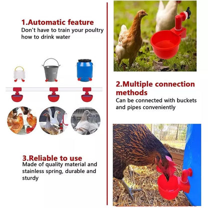 Automatic Chicken Watering Cup