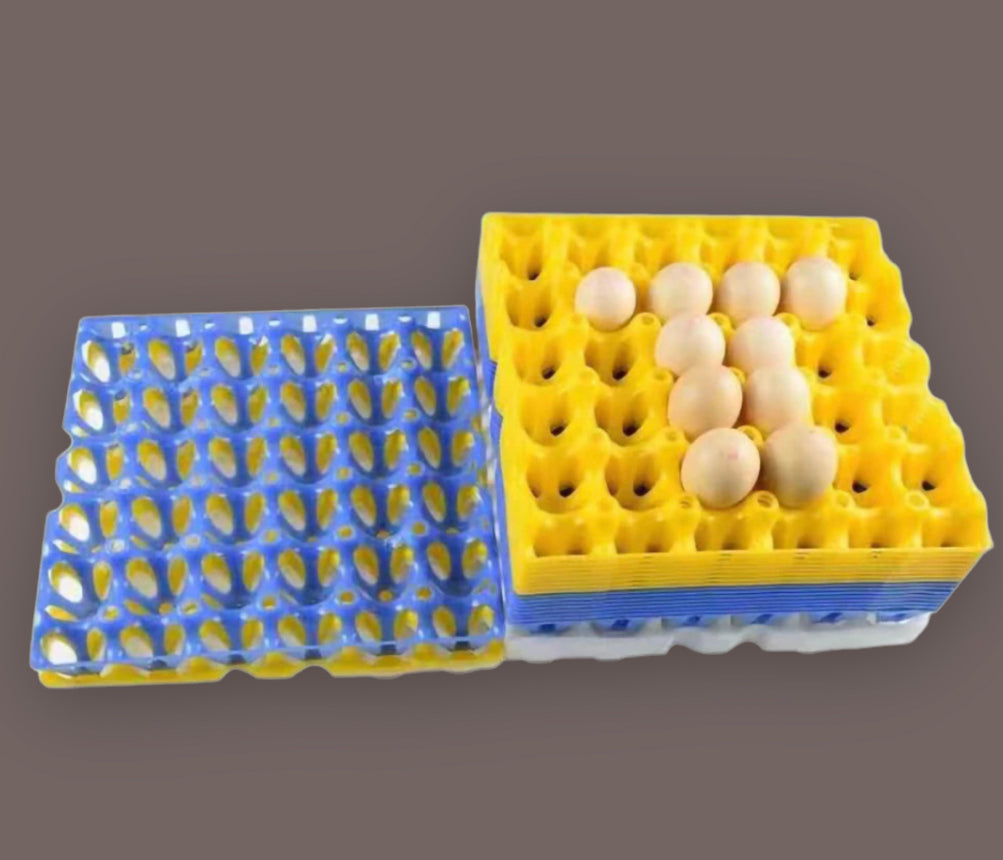 Egg Trays