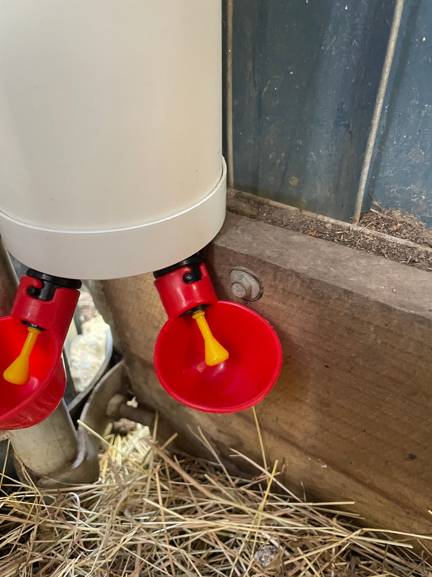 Automatic chicken waterer