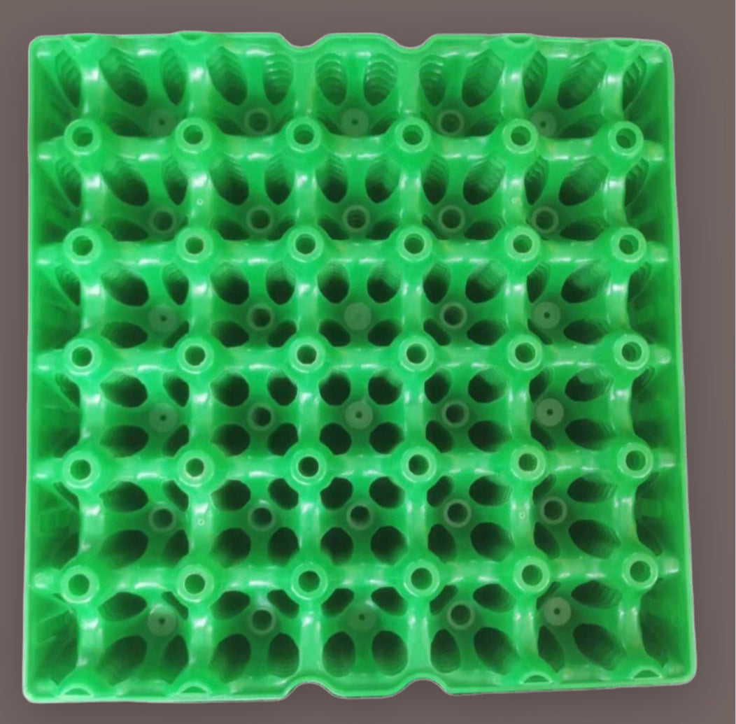 Egg Trays