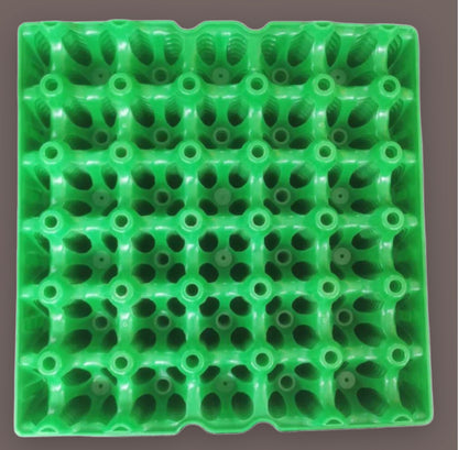 Egg Trays