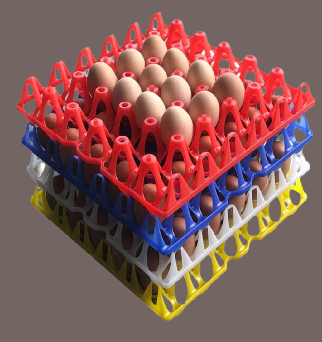 Egg Trays